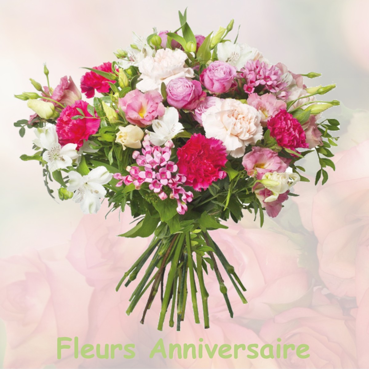 fleurs anniversaire BAULNE-EN-BRIE